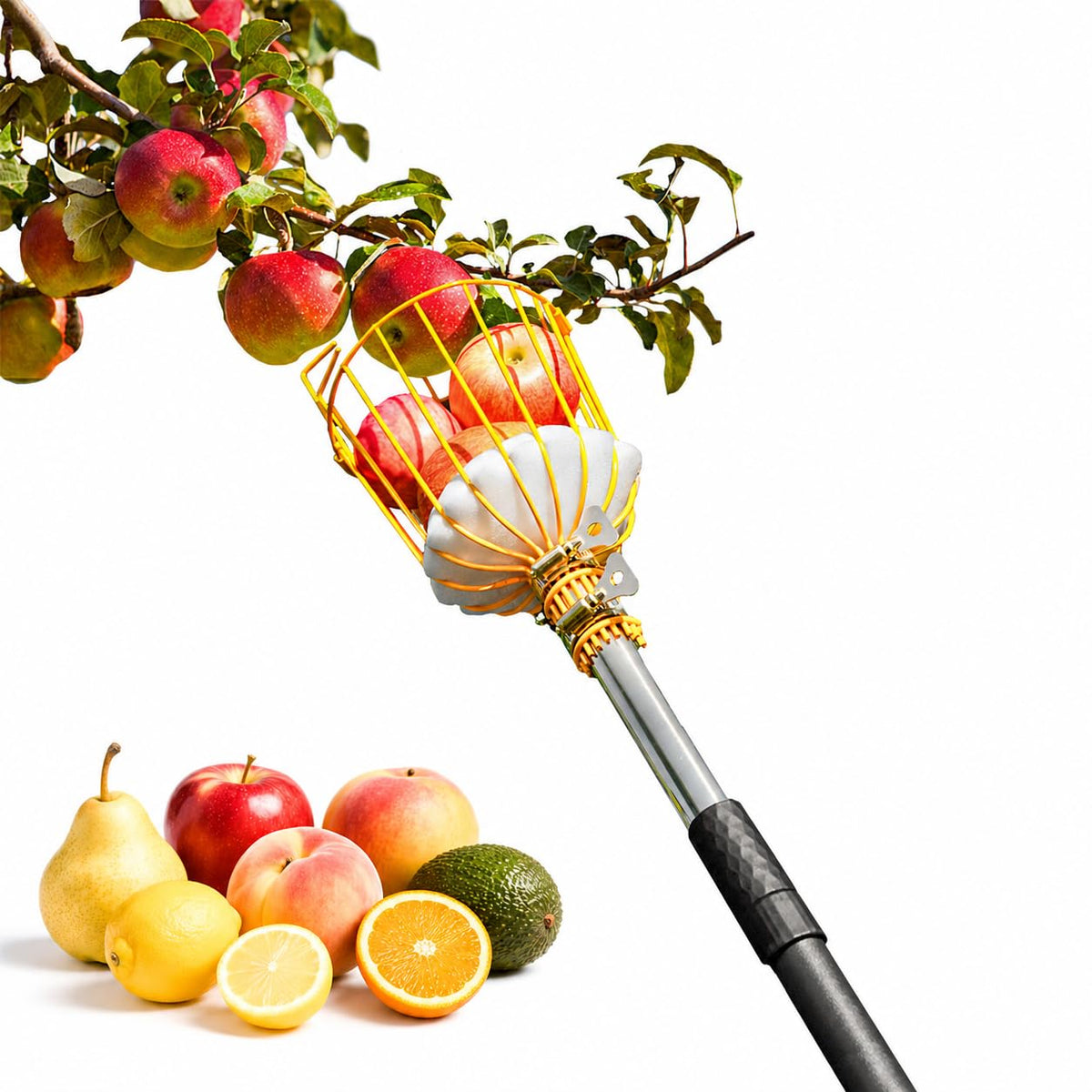 BlumeTrec fruit picker pole in assembly showing adjustable segments for easy height setup