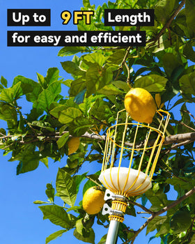 BlumeTrec adjustable pole reaches tall branches safely.