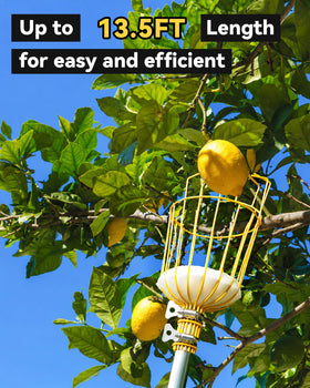 BlumeTrec lightweight stainless steel construction supports long use