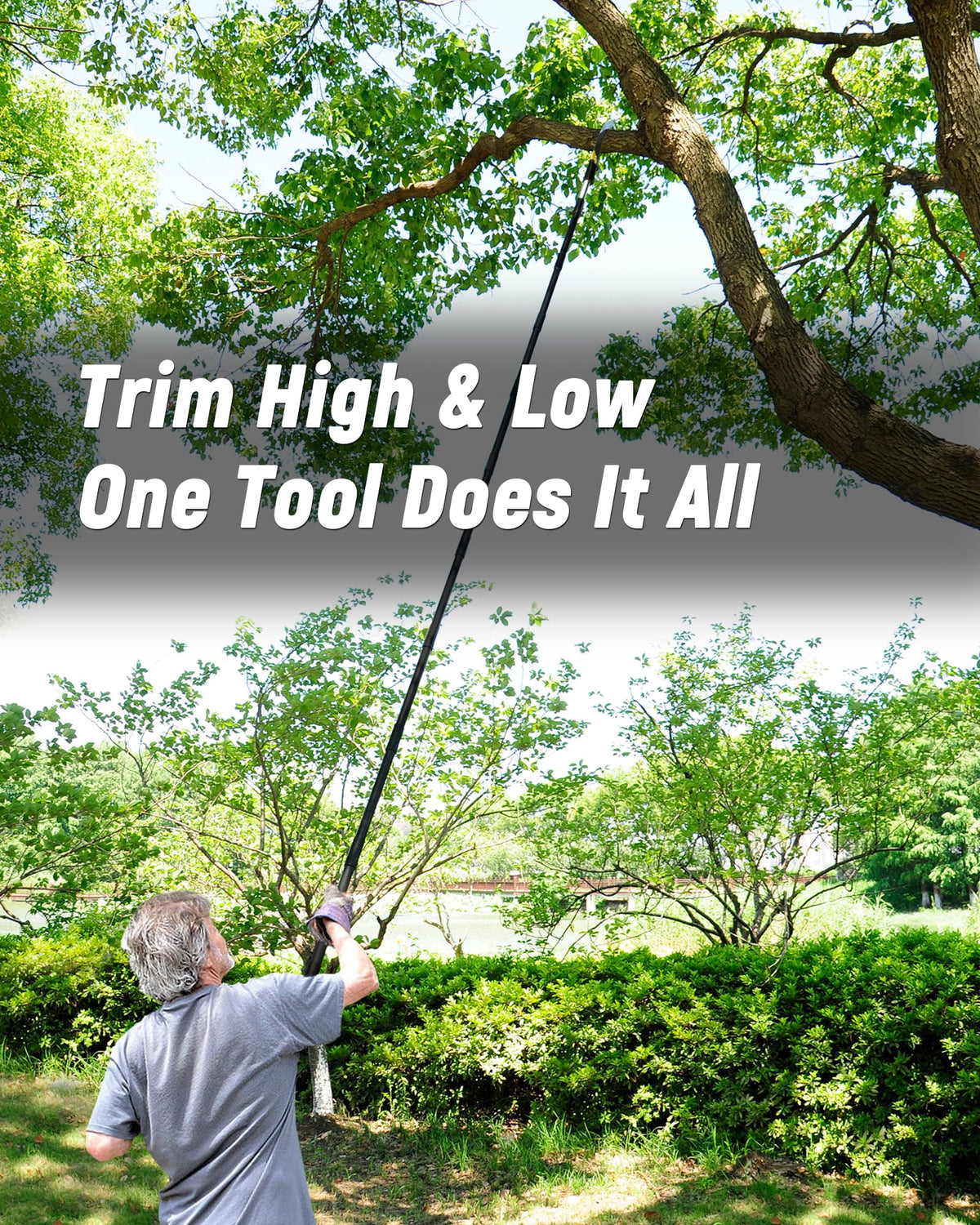 BlumeTrec 14.5ft extended reach pruning tall branches from the ground
