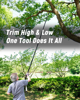 BlumeTrec 14.5ft extended reach pruning tall branches from the ground