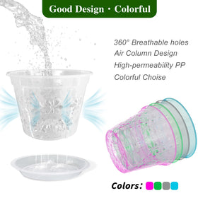 Blumiger 5-inch orchid pot with attached saucer keeps excess water contained.