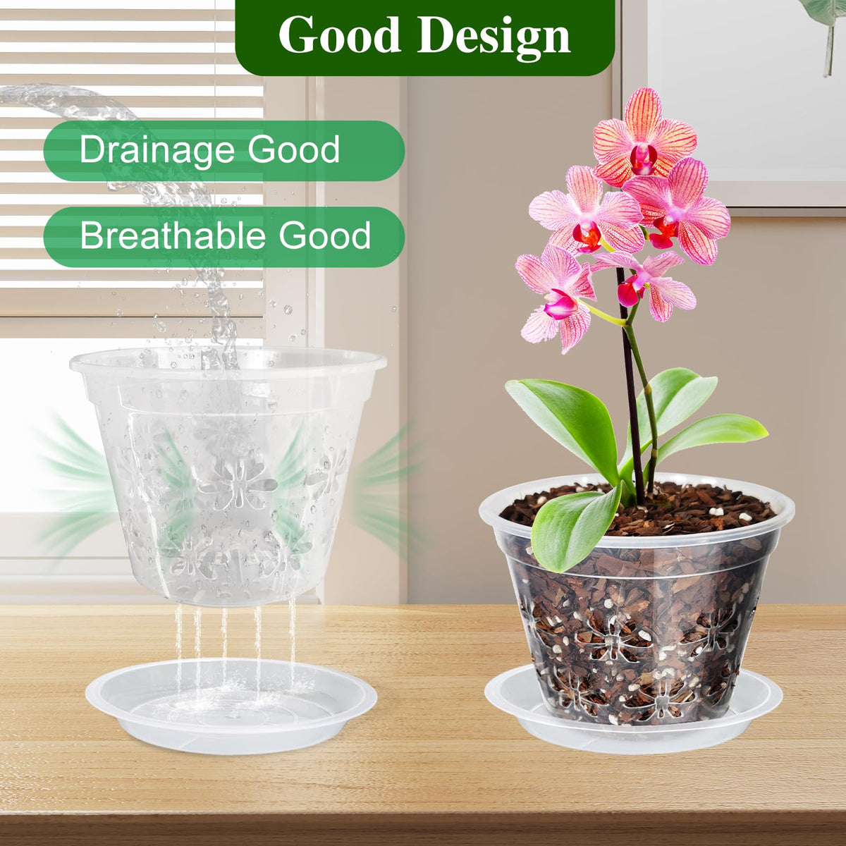 Blumiger orchid pot in indoor setup complements home décor.