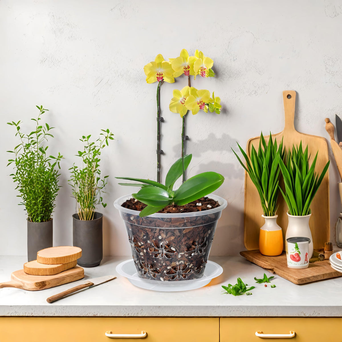 Blumiger 8-pack orchid pots organized for easy installation.