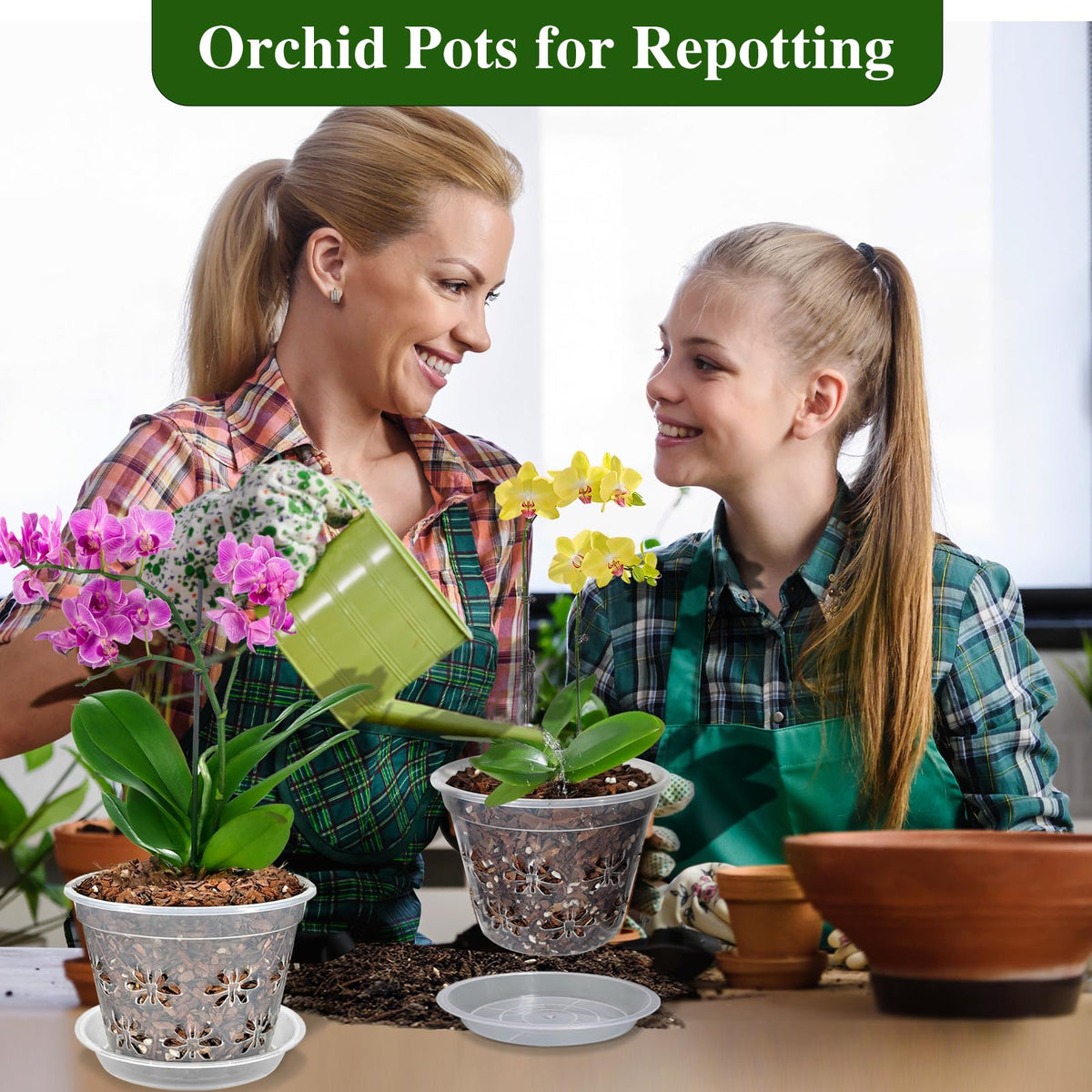 Blumiger 5-inch orchid pot ideal for repotting and growth monitoring.