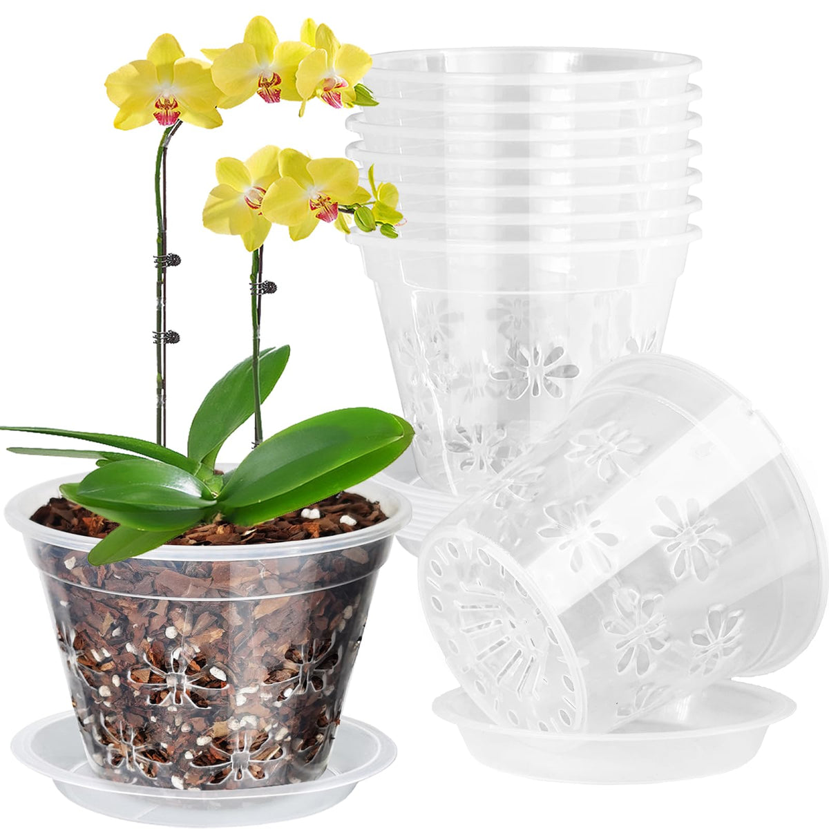 Blumiger 5-inch orchid pot top view with clear plastic and breathable holes.