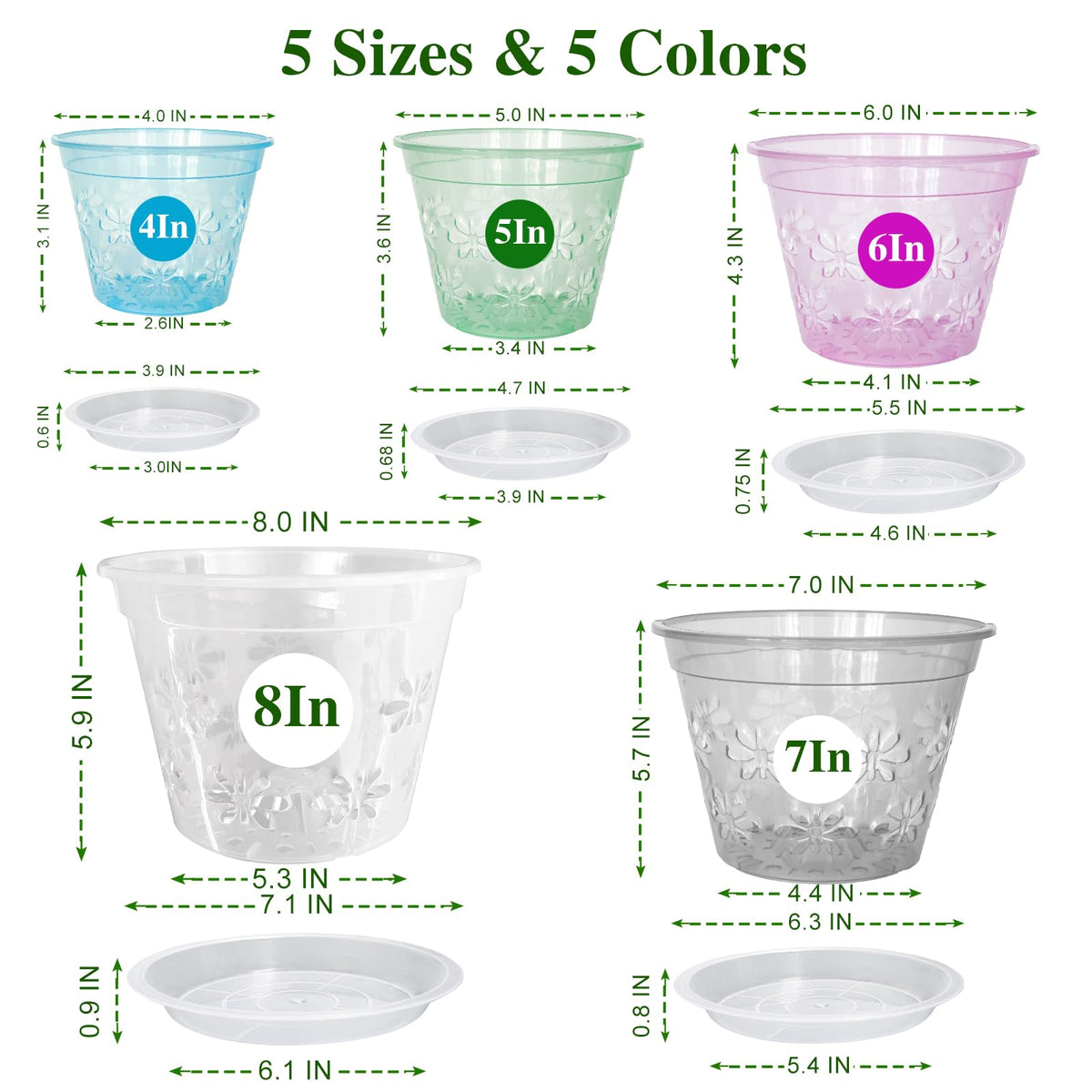 Blumiger 5-inch clear orchid pot enables root visibility during repotting.