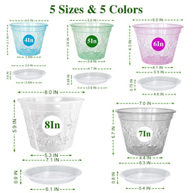 Blumiger 5-inch clear orchid pot enables root visibility during repotting.