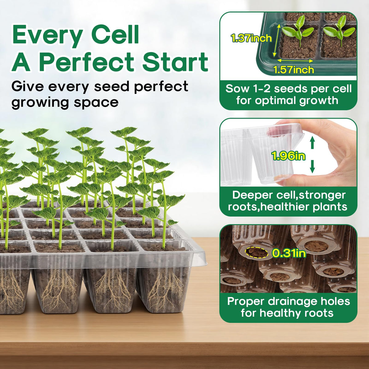 BlumWay 360-degree spectrum LED ensures even light for all seeds