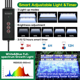 BlumWay clear ABS tray visually monitors soil moisture and root development