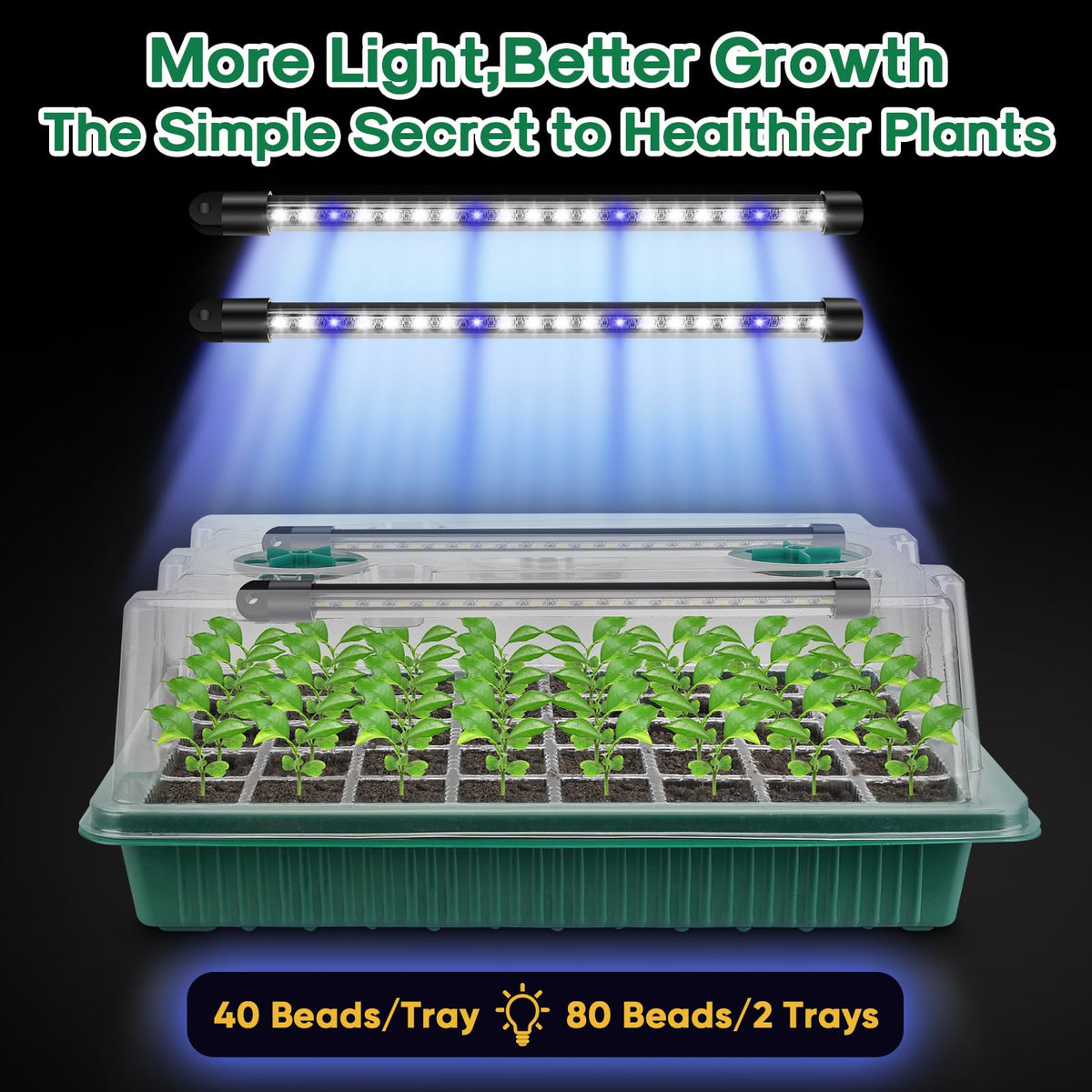 BlumWay indoor garden setup supports vegetables, herbs, and flowers at home