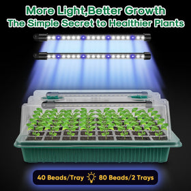 BlumWay indoor garden setup supports vegetables, herbs, and flowers at home
