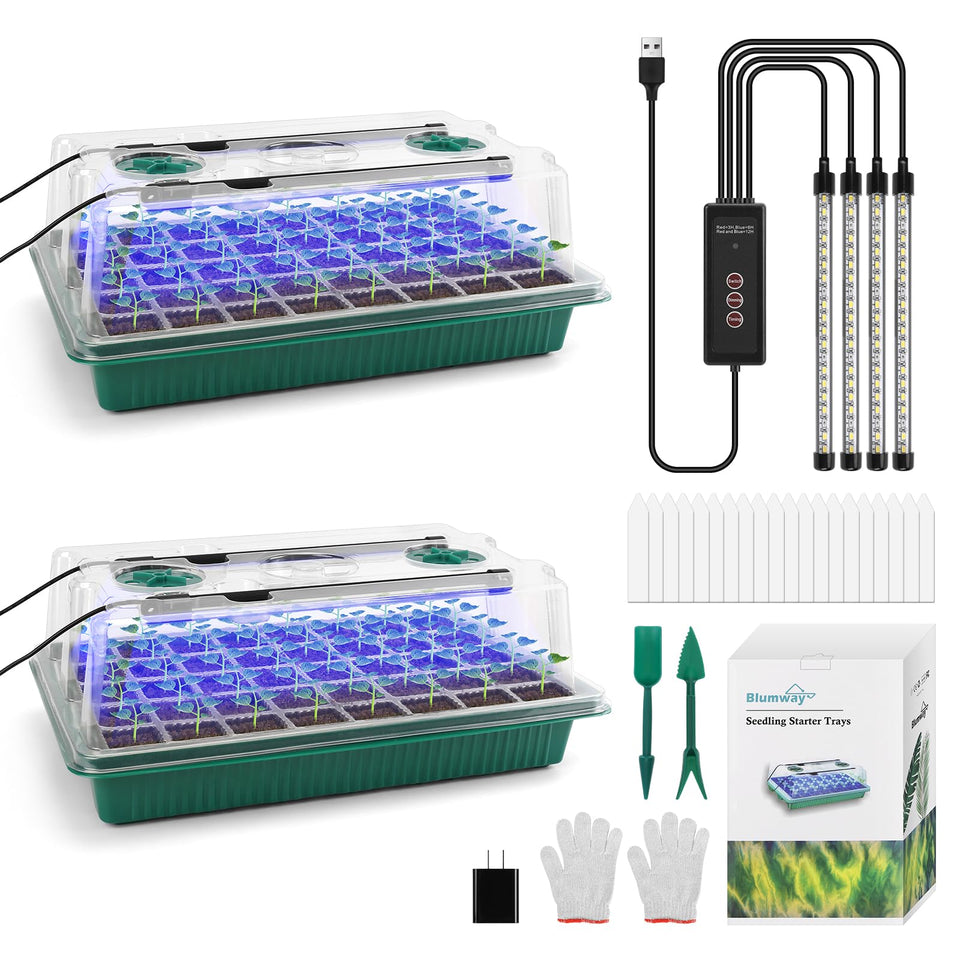 BlumWay seed starter tray with 80 cells for organized indoor germination