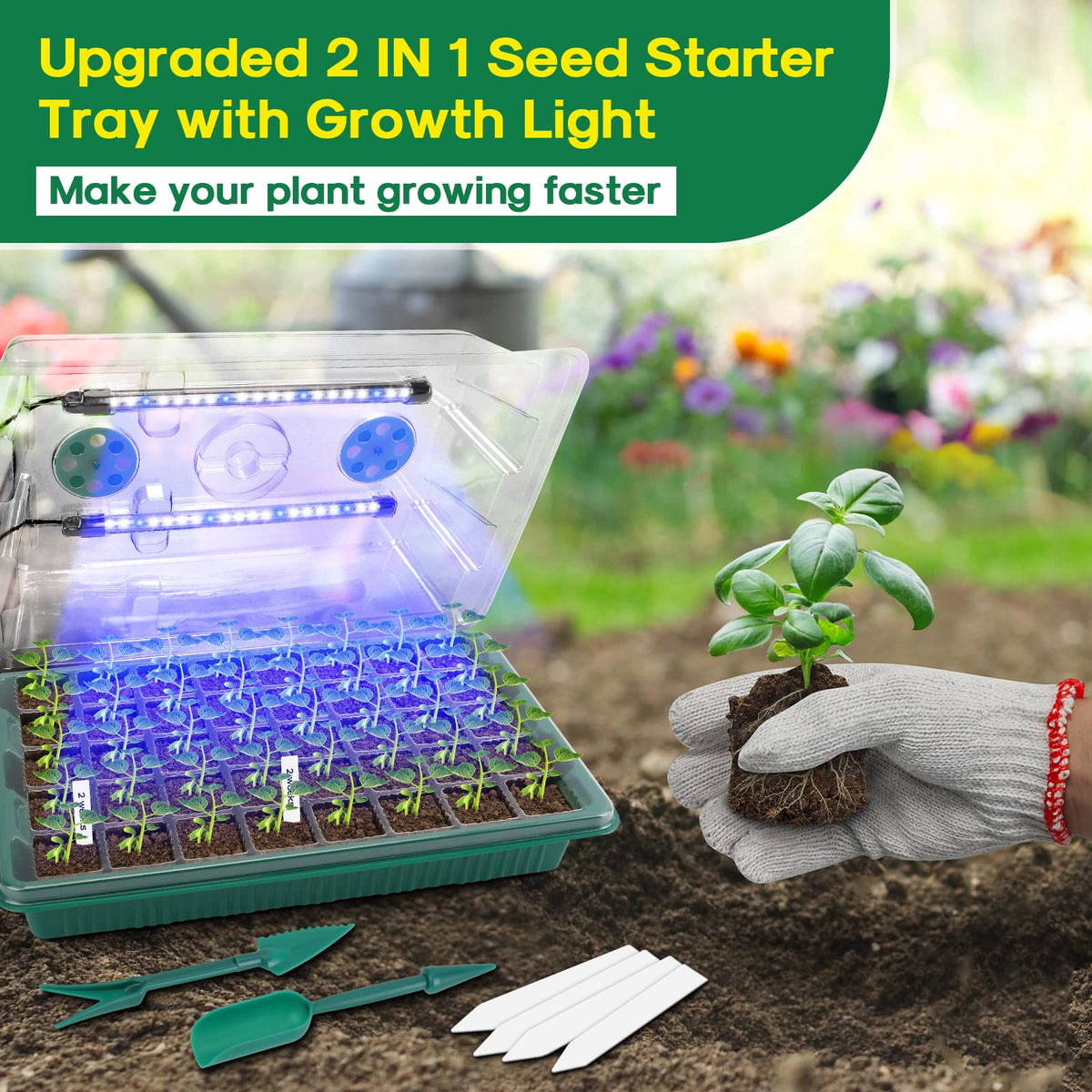 BlumWay power options via USB or AC for versatile indoor gardening