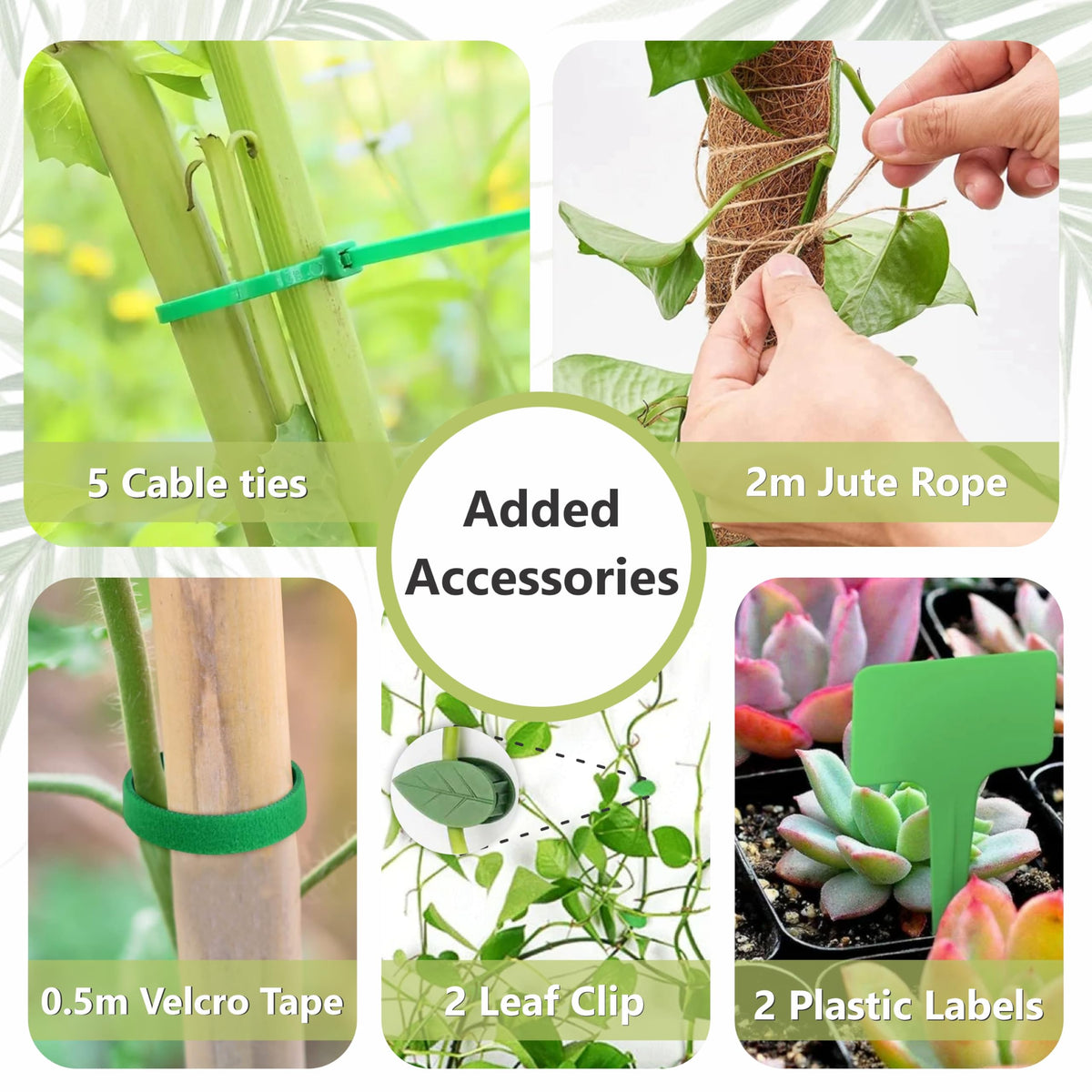 Blush Ease indoor plant support moss highlighting eco friendly climbing solution