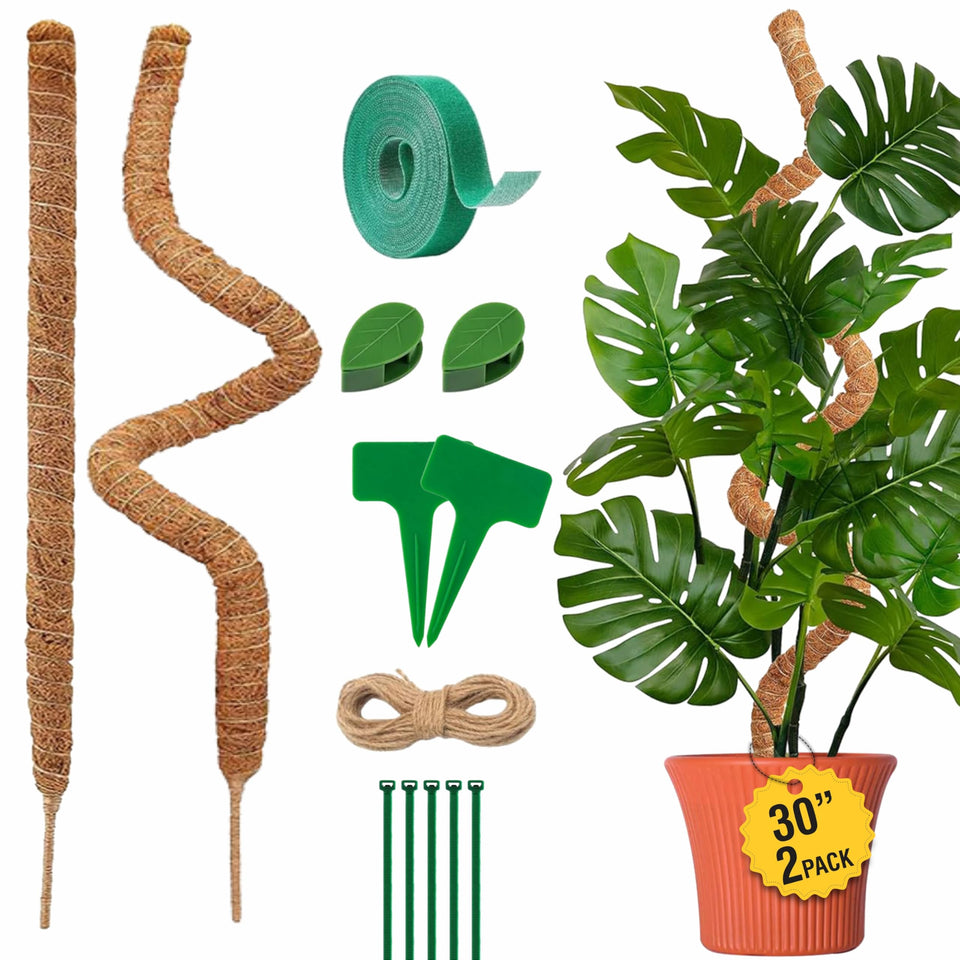 Blush Ease moss pole for monstera, 30 inch two pack provides sturdy climbing support for indoor plants