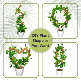 Blush Ease plant stakes assembly kit with ties, rope, and clips for quick setup