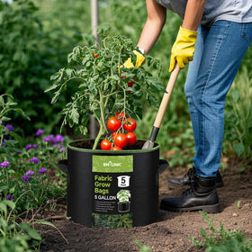 BN-LINK grow bag showing aeration and drainage for healthy roots