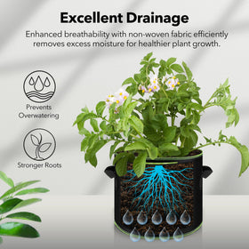 BN-LINK grow bag on patio illustrating portable space-saving design