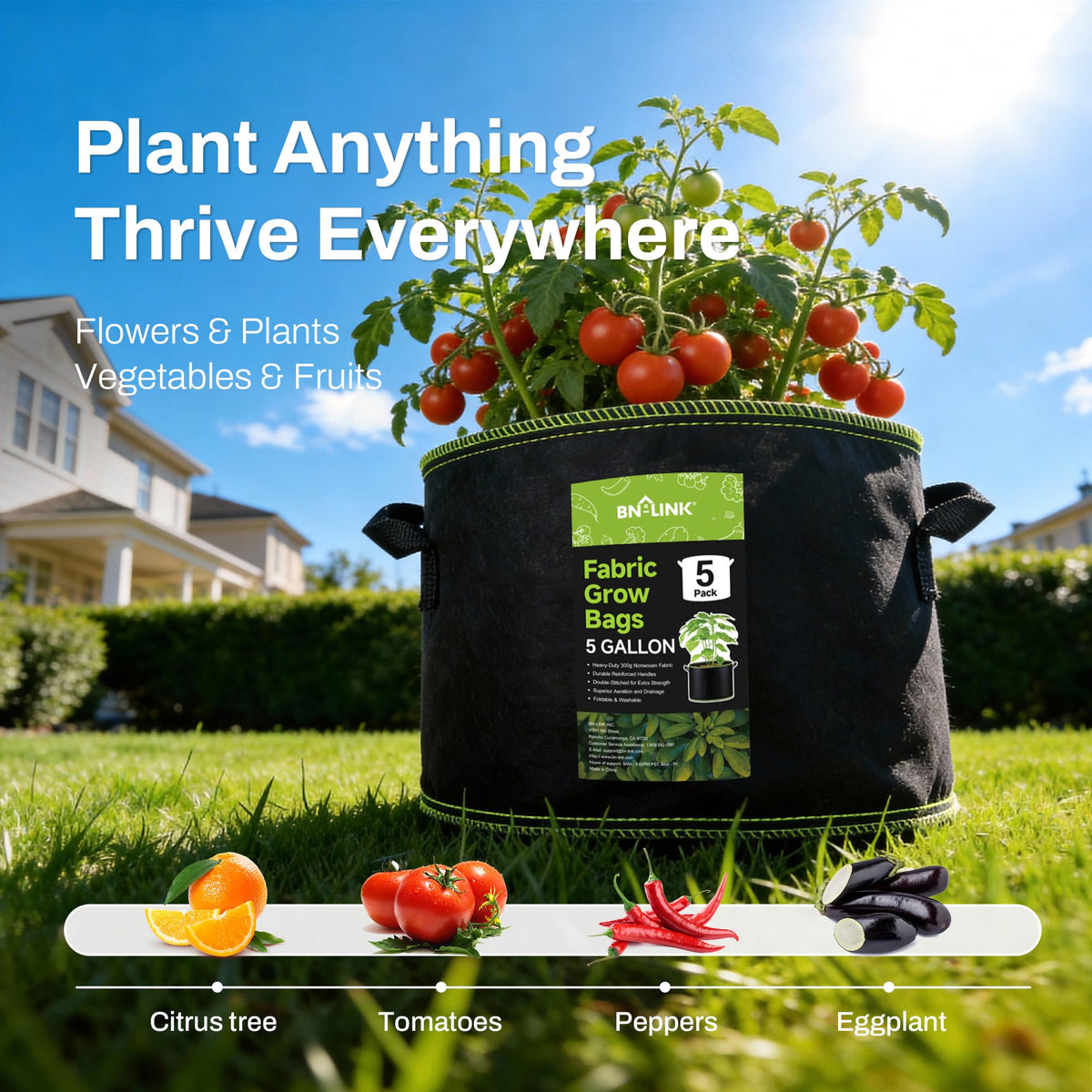 BN-LINK 5-gallon grow bag with reinforced handles for easy lifting