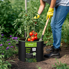BN-LINK 5-pack is easy to rinse and designed for multi-season use.