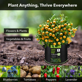BN-LINK nonwoven material offers a breathable texture for healthy root growth.