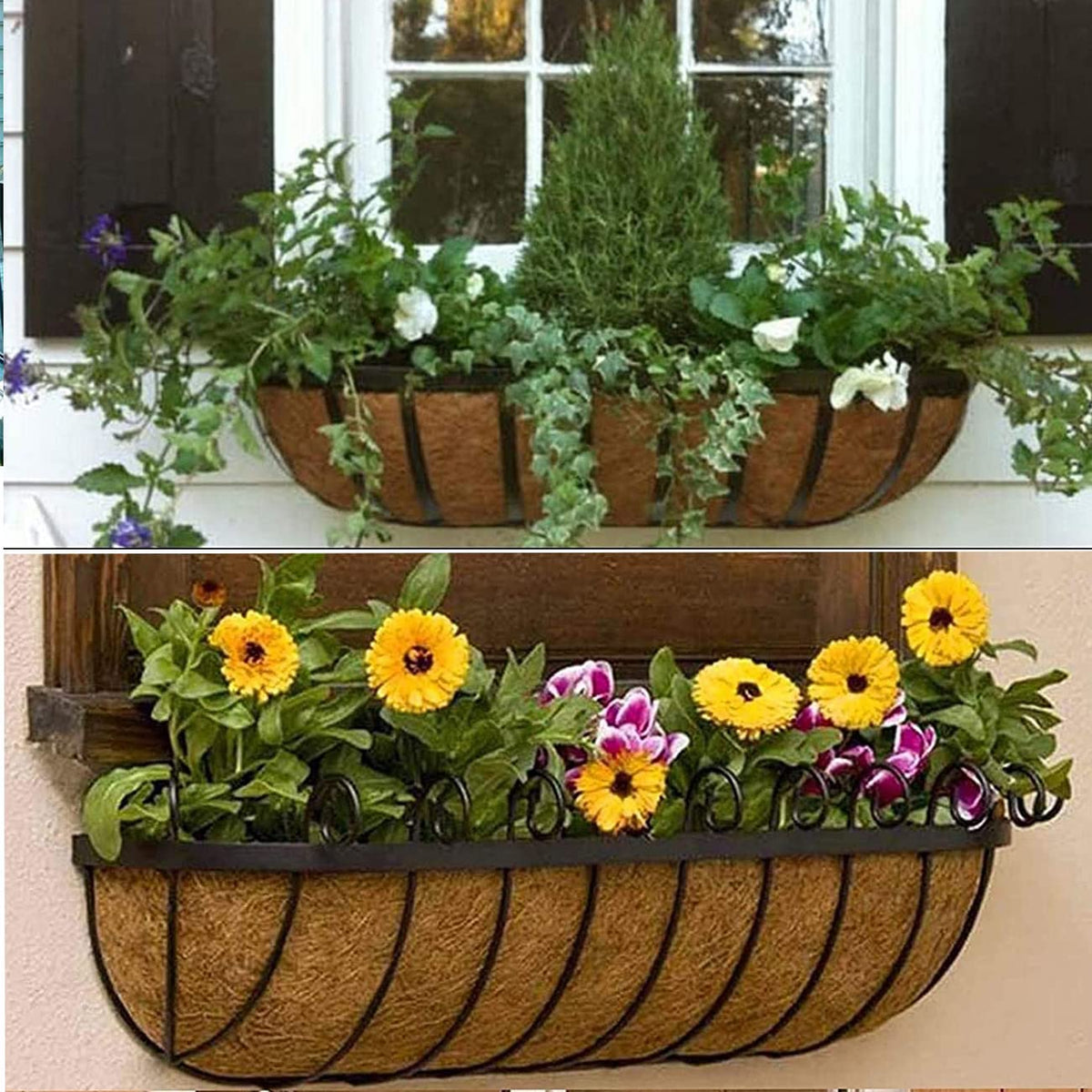 boUod easy install coconut liner demonstrates quick setup for planters