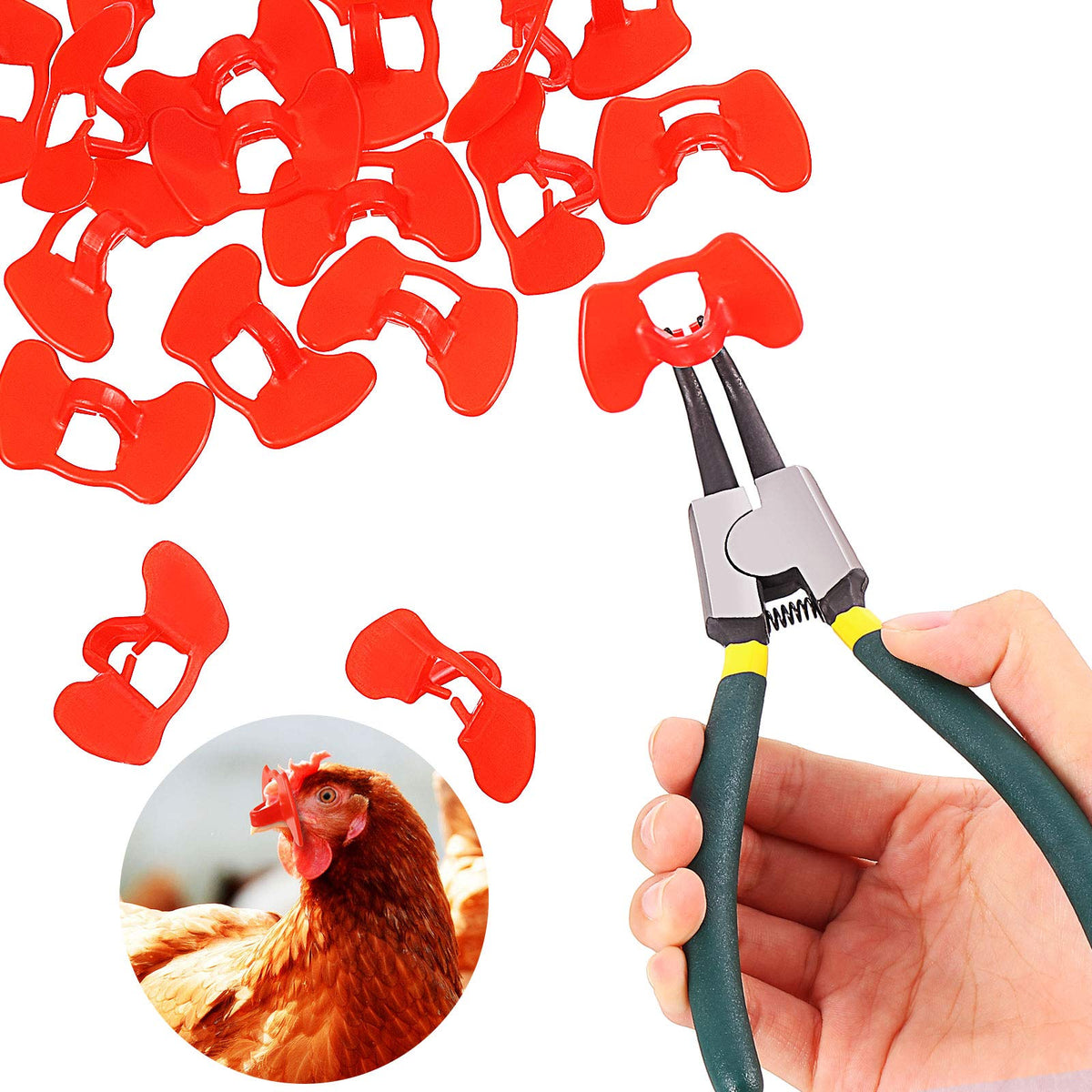 Boao pinless peepers for chicken blinds set for anti-pecking use.