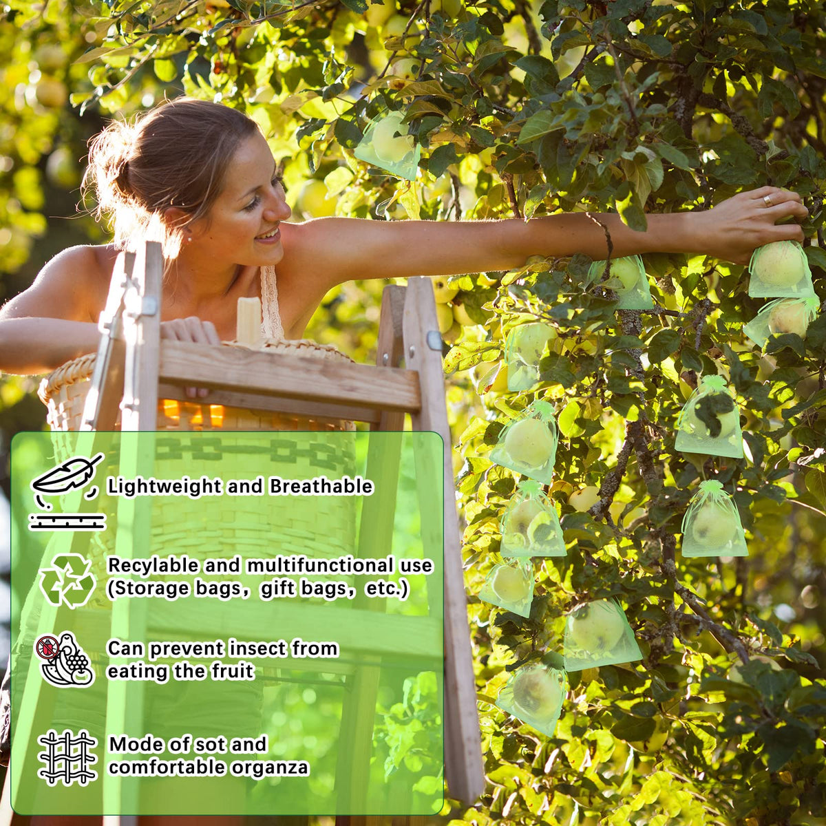 Boao reusable garden protection bags suit indoor and outdoor use for fruit.