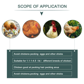 Boao reusable pinless glasses for chickens promote humane pecking control.
