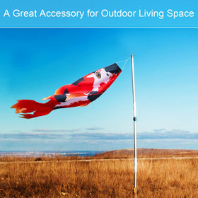 Boao windsock hangs on tree or wall as festive decor.