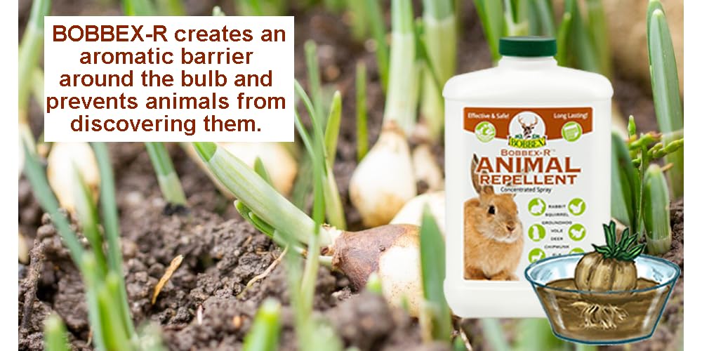 Bobbex foliar application on leaves deters rabbits and squirrels.