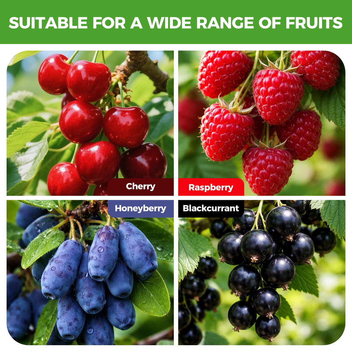BobbleT foldable design stores compactly after harvest to save space.