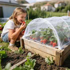 BobbleT breathable mesh design allows sun, water, air to reach roots