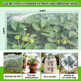 BobbleT netting over raised-bed strawberries shields harvest without blocking air