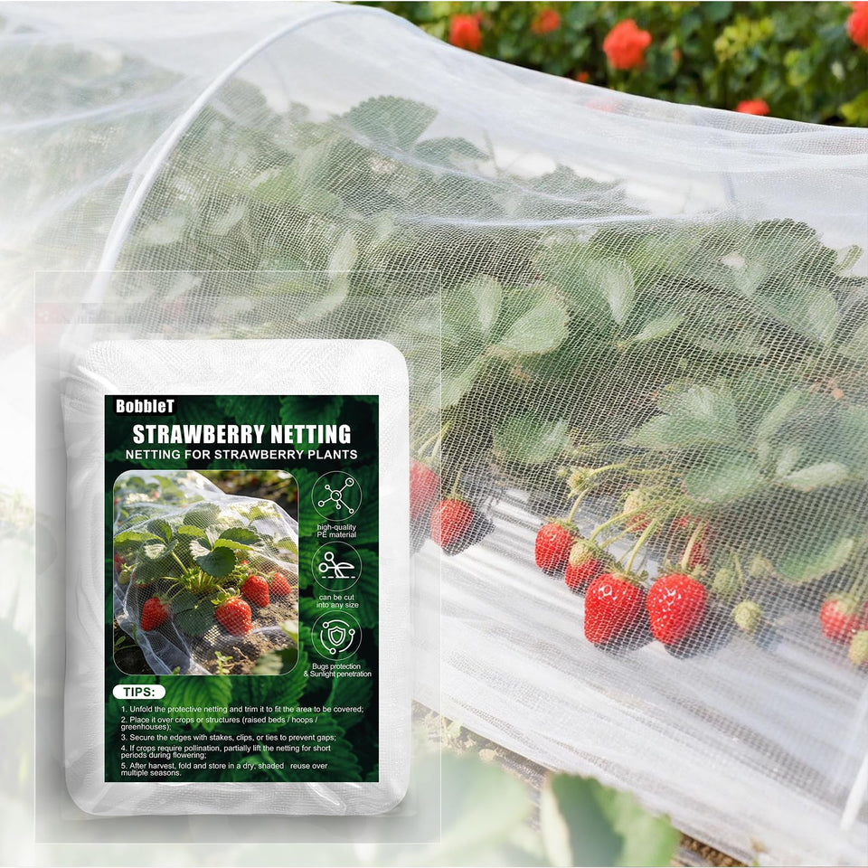 BobbleT garden netting over strawberries protects fruit from birds while letting light through