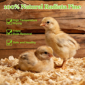 BobbleT low-dust pine bedding reducing coop dust and improving air quality