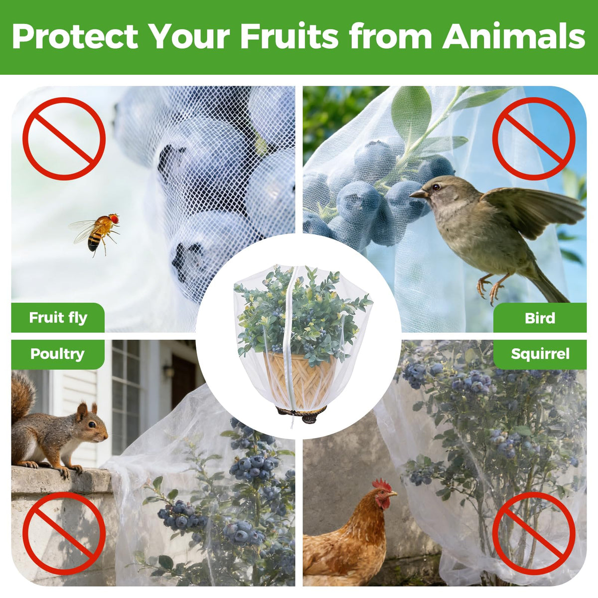 BobbleT harvest-ready netting for easy fruit collection without removal.