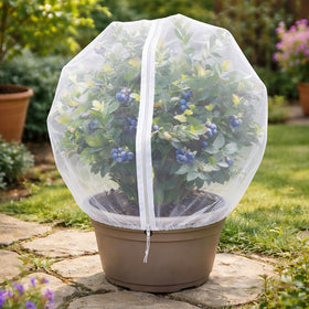 BobbleT protects berries from birds and pests with a durable barrier.