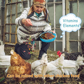 BODISEINT herbal mix supports calm hens and steady egg laying.