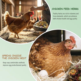 BODISEINT easy-use herb blend for nesting boxes and bedding areas.