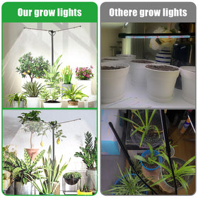 bodkar Indoor garden setup brightens a desk or balcony corner.