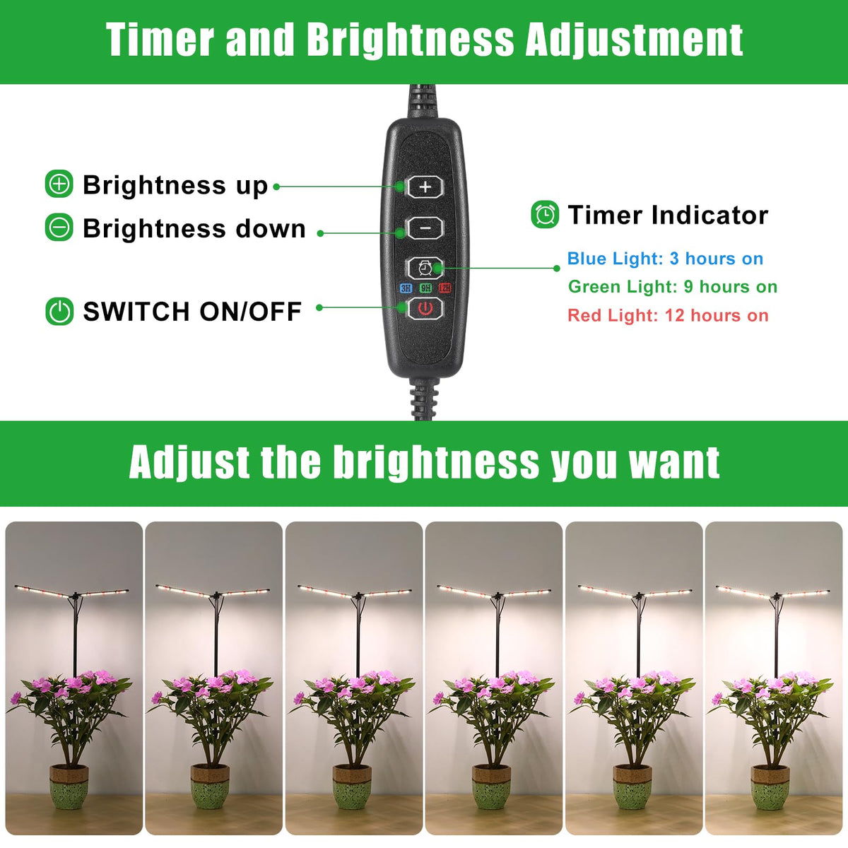 bodkar indoor gardening on desk or shelf with compact light