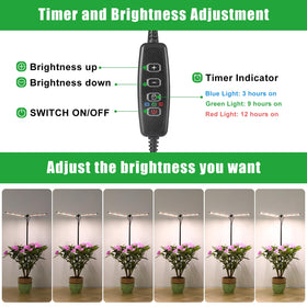 bodkar indoor gardening on desk or shelf with compact light