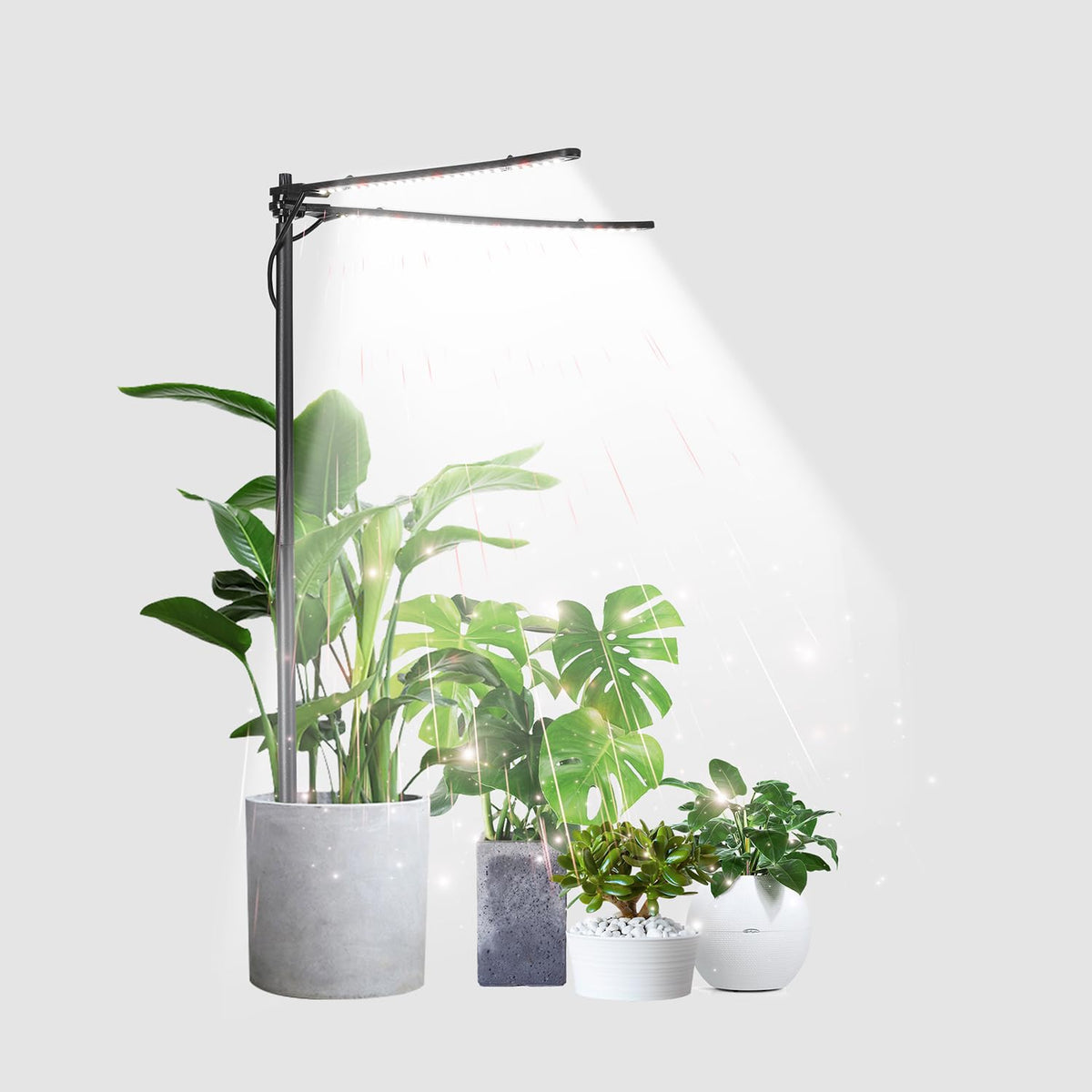 bodkar Plant Grow Light dual-head design expands indoor plant coverage.