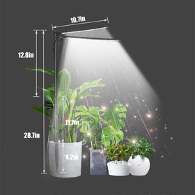bodkar Slim compact form-factor fits neatly in small spaces.