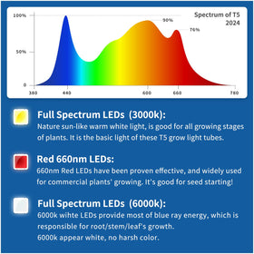 Bokeedo grow lights come with 12-month warranty and return option