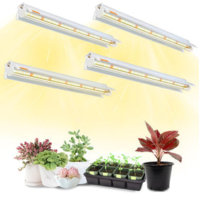 Bokeedo 16in T5 grow light bars front view for seedling growth