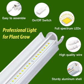 Bokeedo T5 full-spectrum bars support healthy seedlings with balanced light.