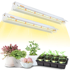 Bokeedo T5 grow lights over seed starting area for even illumination.